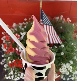 Raspberry & Mango dole whip  at Mayberry in Davison