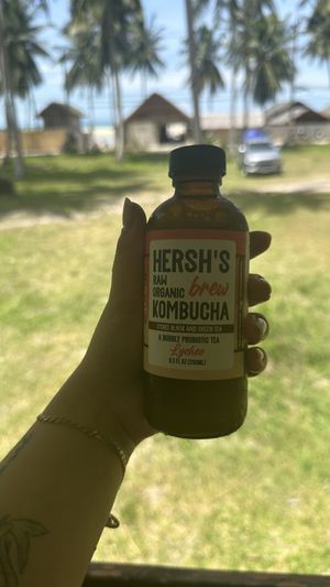 Kombucha  at Indigo - Thong Sala in Koh Phangan