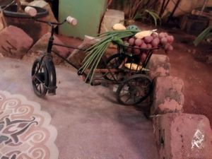 The fruit bicycle at The Thai Vegan Kitchen in Karnataka