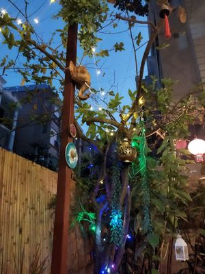 The atmosphere with plants and springs and elephants at The Thai Vegan Kitchen in Karnataka