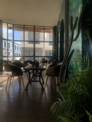   at Triton's Coffee Lab in Fuerteventura