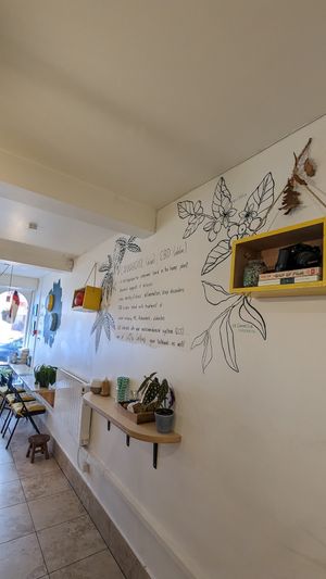  at Little Collins CBD Dispensary Galway in Galway