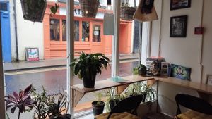  at Little Collins CBD Dispensary Galway in Galway