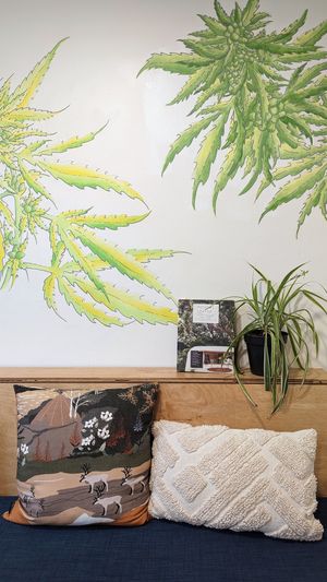  at Little Collins CBD Dispensary Galway in Galway