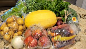 Bin service at Heliotrope Organic Farm in Regina