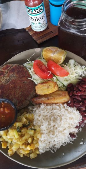 casado vegano at Restaurante donde Ceci in Siquirres