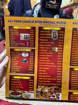 Menu  at Shankara Vegis in Agra