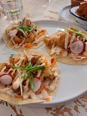 Cauliflower tacos at Nooch Bar and Kitchen in Stirling