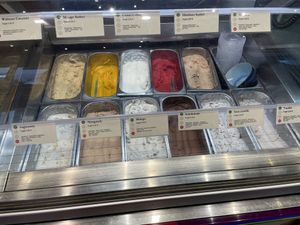 Ice creamm  at Cassius Garten in Bonn