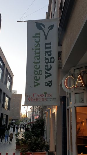  at Cassius Garten in Bonn