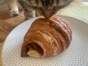   at Maison Macha in Culver City