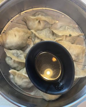 vegetable dumplings   at Tasty Noodle House in San Diego