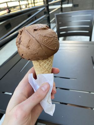   at Bright Ice in Tampa