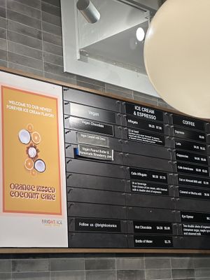 Vegan flavors  at Bright Ice in Tampa