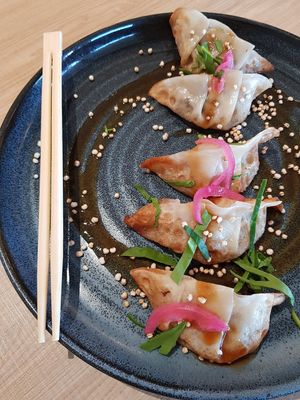 Gyozas at El Curry Verde in Hondarribia