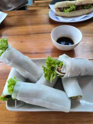 Fresh rolls with tofu at Bahn Mi Tron - CircleT in Ninh Binh