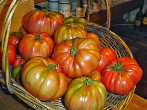 Productos ecológicos de primera calidad at Taberna O Lagar en Eiras in O Rosal
