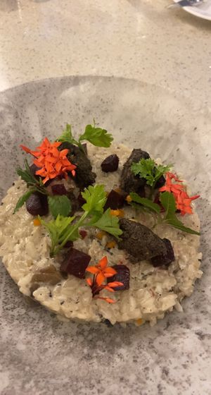 Mushroom n beetroot risotto   at Solis in Denarau