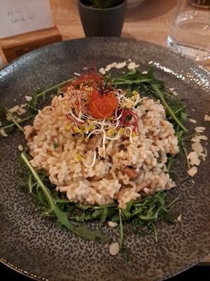  at Vegalena in Stuttgart