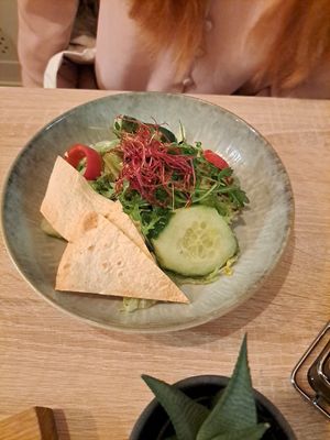  at Vegalena in Stuttgart