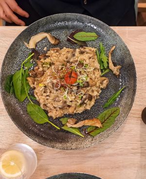  at Vegalena in Stuttgart