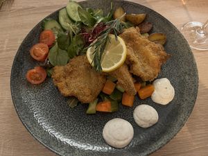  Schnitzel   at Vegalena in Stuttgart