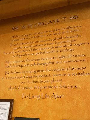 Organic at Life Alive Organic Cafe in Salem