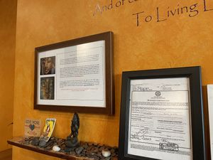 Abundance at Life Alive Organic Cafe in Salem