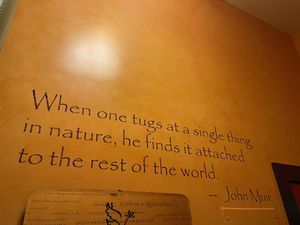 Truth at Life Alive Organic Cafe in Salem