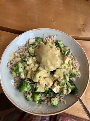   at Life Alive Organic Cafe in Salem