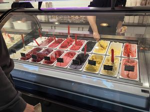 Vegan cabinet  at Luna's Gelateria in Taupo