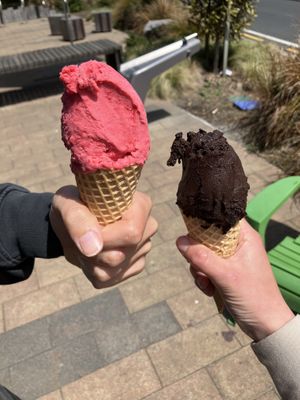 Raspberry & chocolatee  at Luna's Gelateria in Taupo