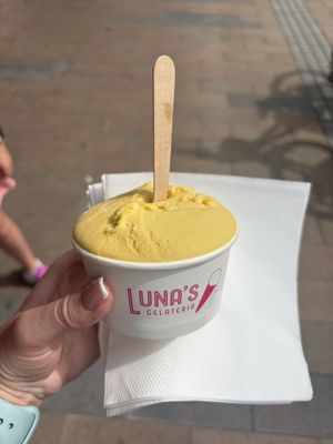 Mango  at Luna's Gelateria in Taupo