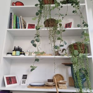 Veganteca e mini mercearia cosmética at theno  in Denizli