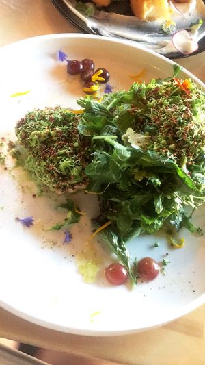 Raw vegan dish - cashew cheese and avacado in a dehydrated cashew nut shell with salad  at The Acorn in Vancouver