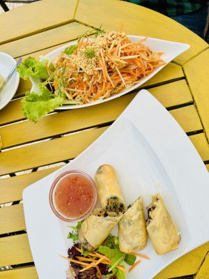 Papaya Salat & Frühlingsrollen   at Limika's House in Celle
