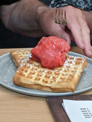 Waffel mit Puderzucker und Erdbeereis at DenkMahl Rösterei in Poessneck