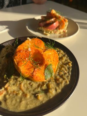 Front: warm millet salad with green lentils and oven baked apple. at Klorofüll in Tallinn