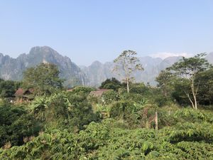   at Green Restaurant in Vang Vieng