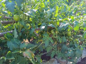  at Restaurante Diverso Trinitario in Trinidad