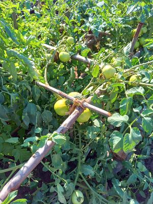  at Restaurante Diverso Trinitario in Trinidad