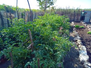  at Restaurante Diverso Trinitario in Trinidad