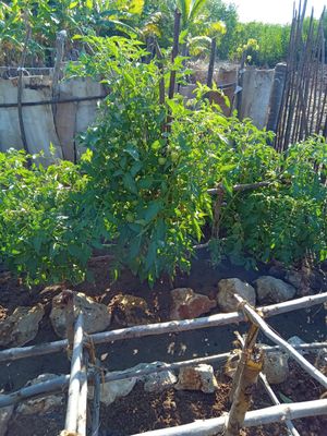  at Restaurante Diverso Trinitario in Trinidad