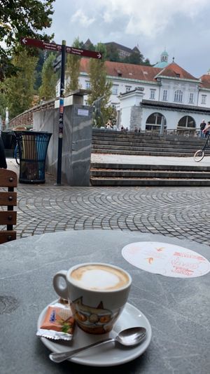   at Lepa Vida in Ljubljana