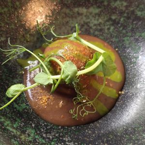  at Cuculia in Florence