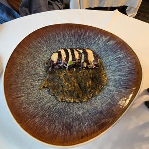  at Cuculia in Florence