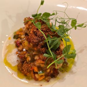  at Cuculia in Florence