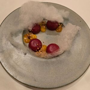  at Cuculia in Florence