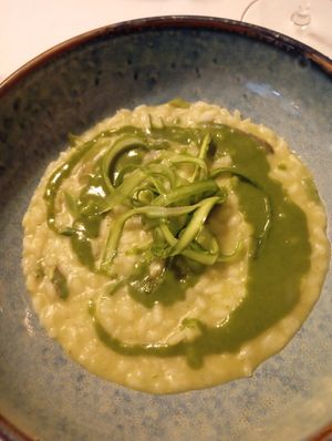  at Cuculia in Florence