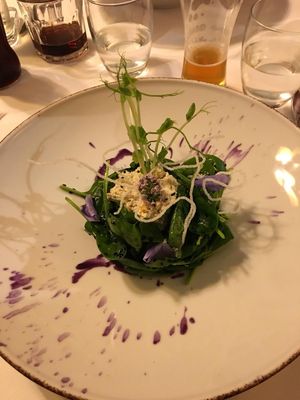 Tofu, spinach, red cabbage cream at Cuculia in Florence